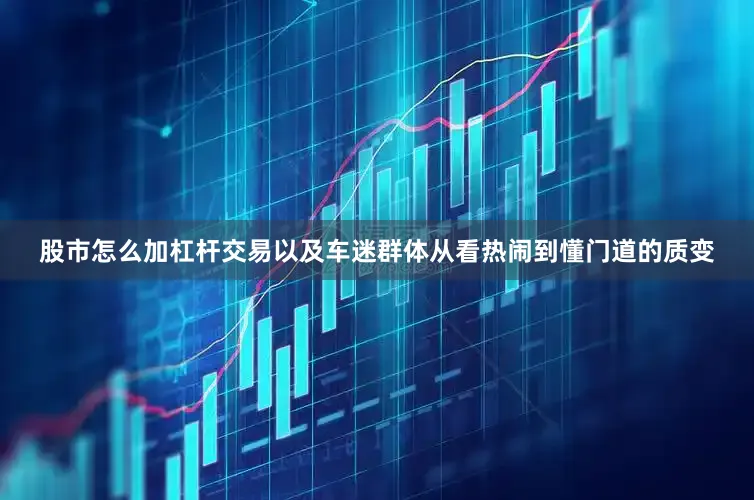 股市怎么加杠杆交易以及车迷群体从看热闹到懂门道的质变