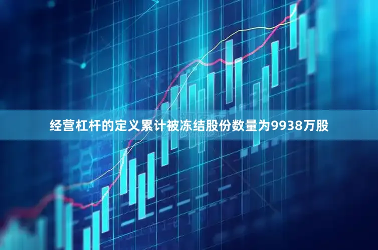 经营杠杆的定义累计被冻结股份数量为9938万股