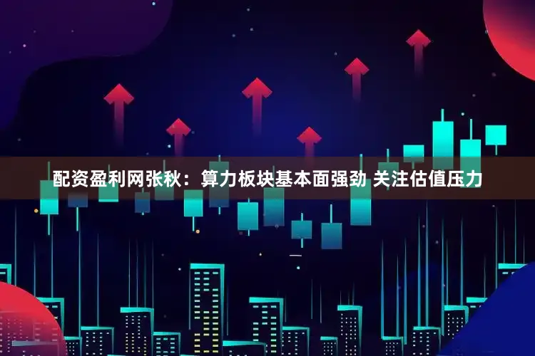配资盈利网张秋：算力板块基本面强劲 关注估值压力