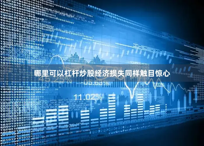 哪里可以杠杆炒股经济损失同样触目惊心